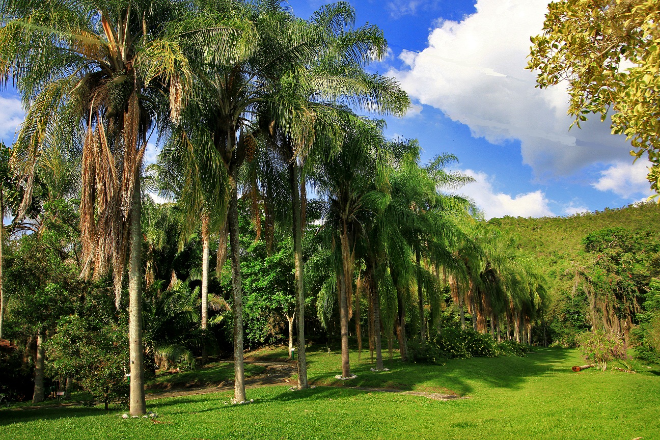 patrimonios-turisticos---v2/jardin-botanico-juan-maria-cespedes---tulua